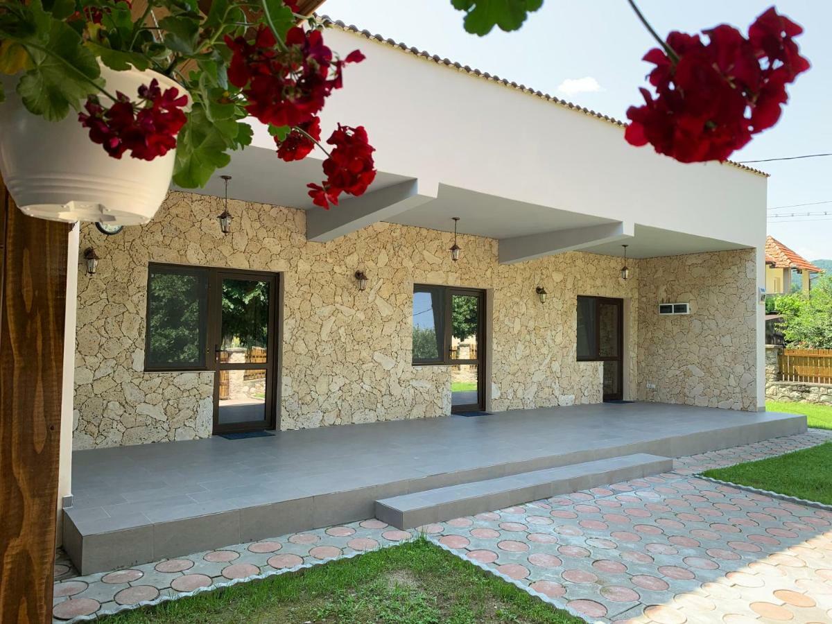 Casa Roka Daire Ieşelniţa Dış mekan fotoğraf