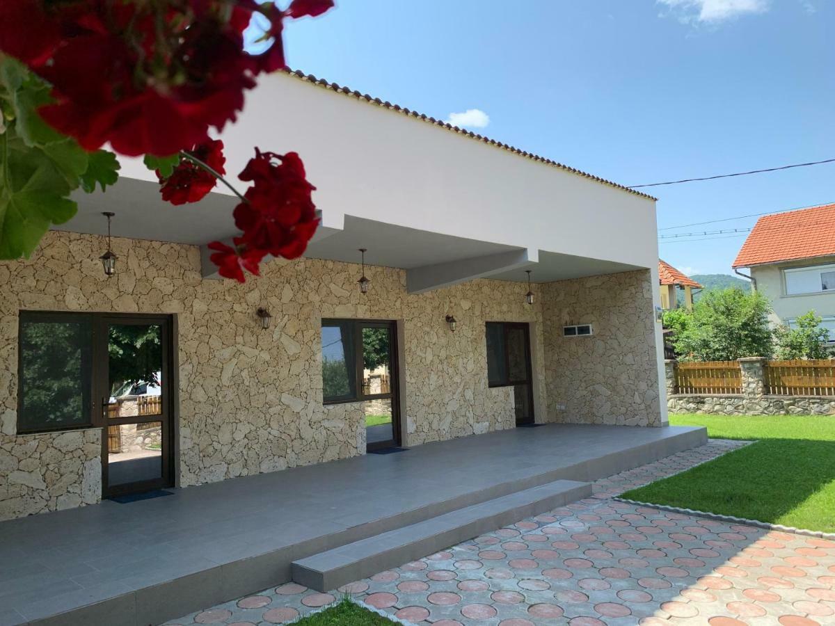 Casa Roka Daire Ieşelniţa Dış mekan fotoğraf